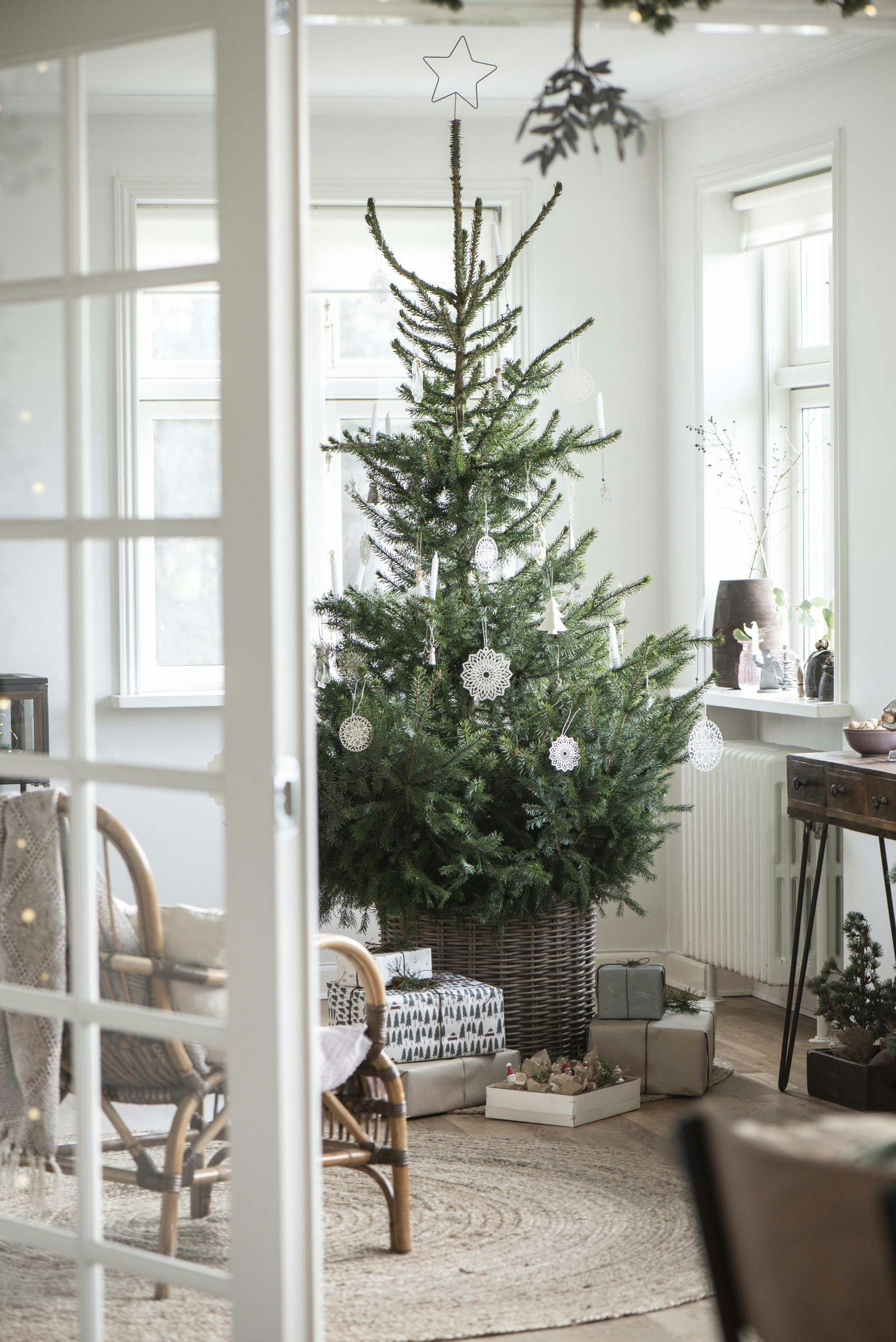 1 iblaursen 12712 Fx6OEUjx1FeL7W